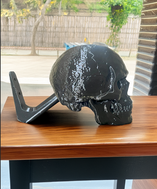 3D Skull Hat wall mount